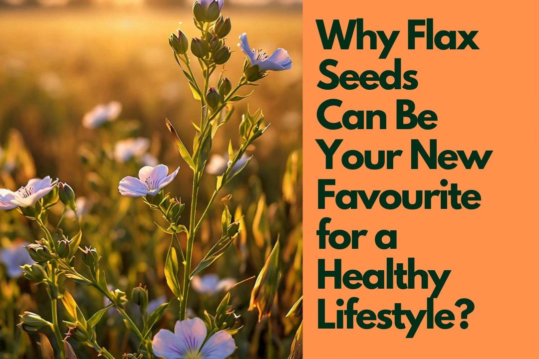 Why Flax Seeds Can Be Your New Favourite for a Healthy Lifestyle?